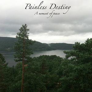 舒美玉张丽怀孕续写
